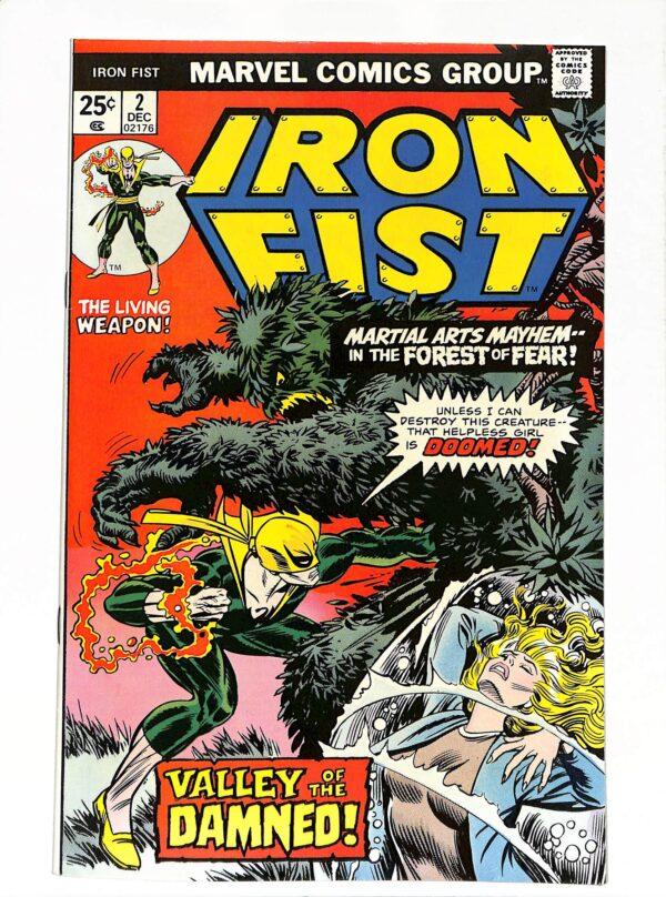 Iron Fist #002