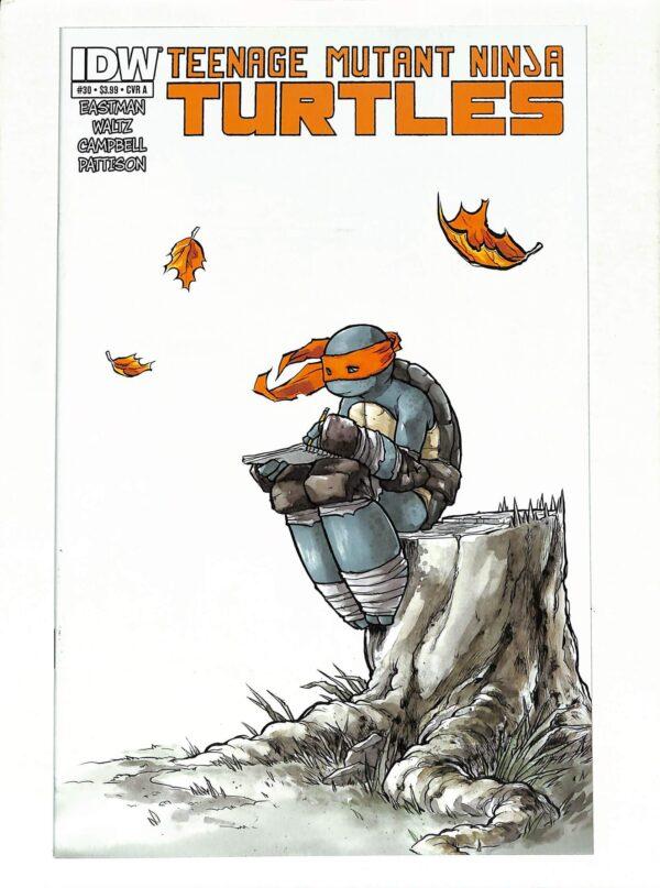 Teenage Mutant Ninja Turtles (IDW) #030