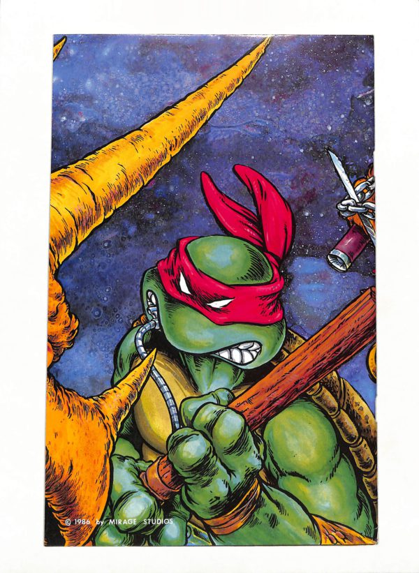 Teenage Mutant Ninja Turtles #006