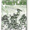 Teenage Mutant Ninja Turtles #004