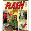 Flash #229