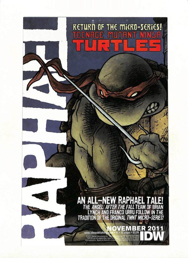 Teenage Mutant Ninja Turtles (2011) #001 3rd Printing