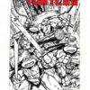Teenage Mutant Ninja Turtles (2011) #002 2nd Printing