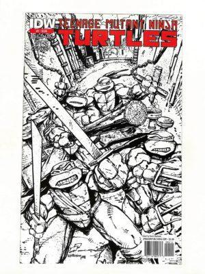 Teenage Mutant Ninja Turtles (2011) #002 2nd Printing