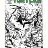 Teenage Mutant Ninja Turtles (2011) #001 3rd Printing