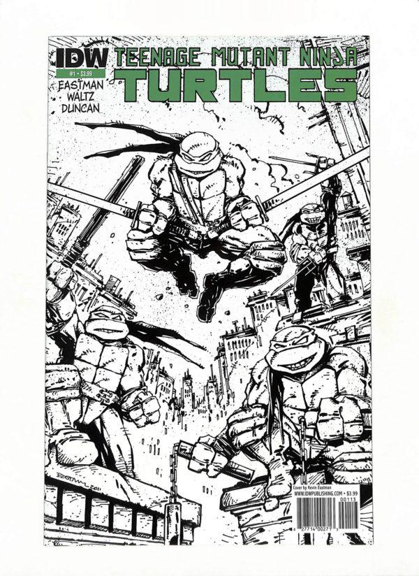 Teenage Mutant Ninja Turtles (2011) #001 3rd Printing