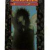 Sandman (1989) #008