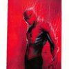 Amazing Spider-Man #800 Variant